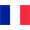 Francuska liga
